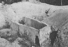 祇園山古墳の石棺