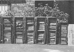 寺子屋の教科書