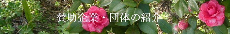 �։摜